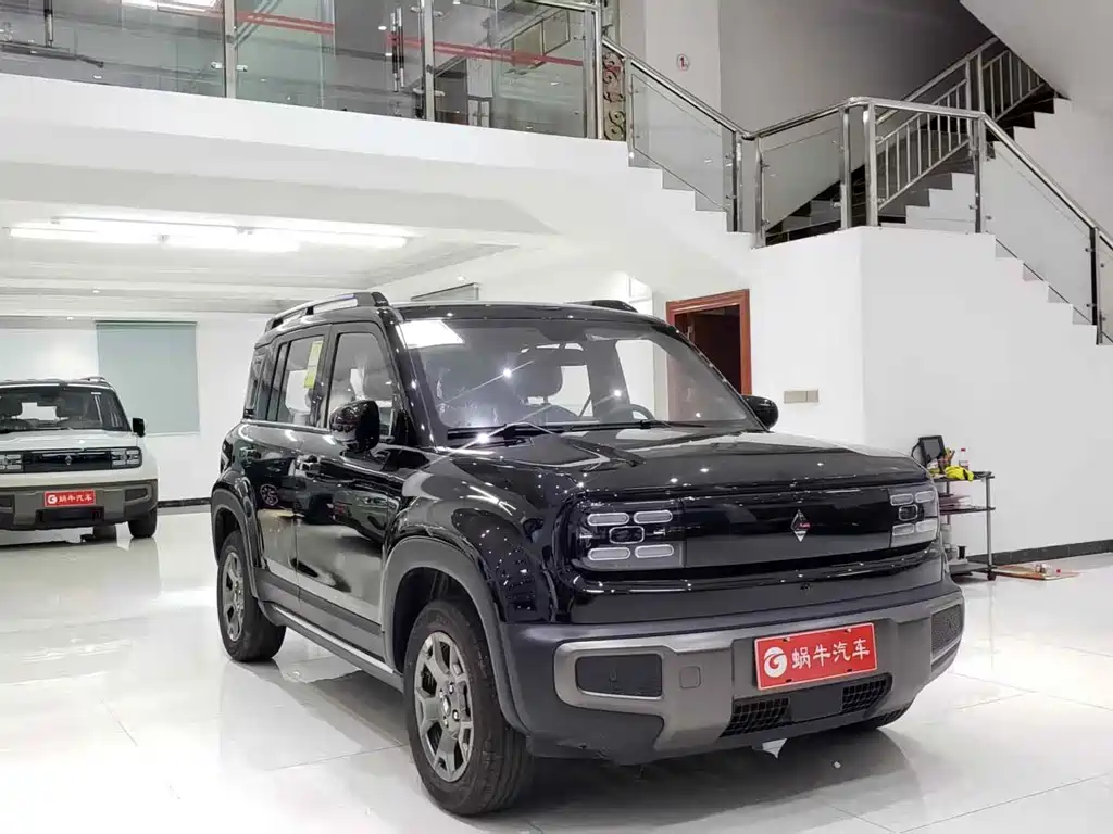 BAOJUN YUE ALSO PLUS