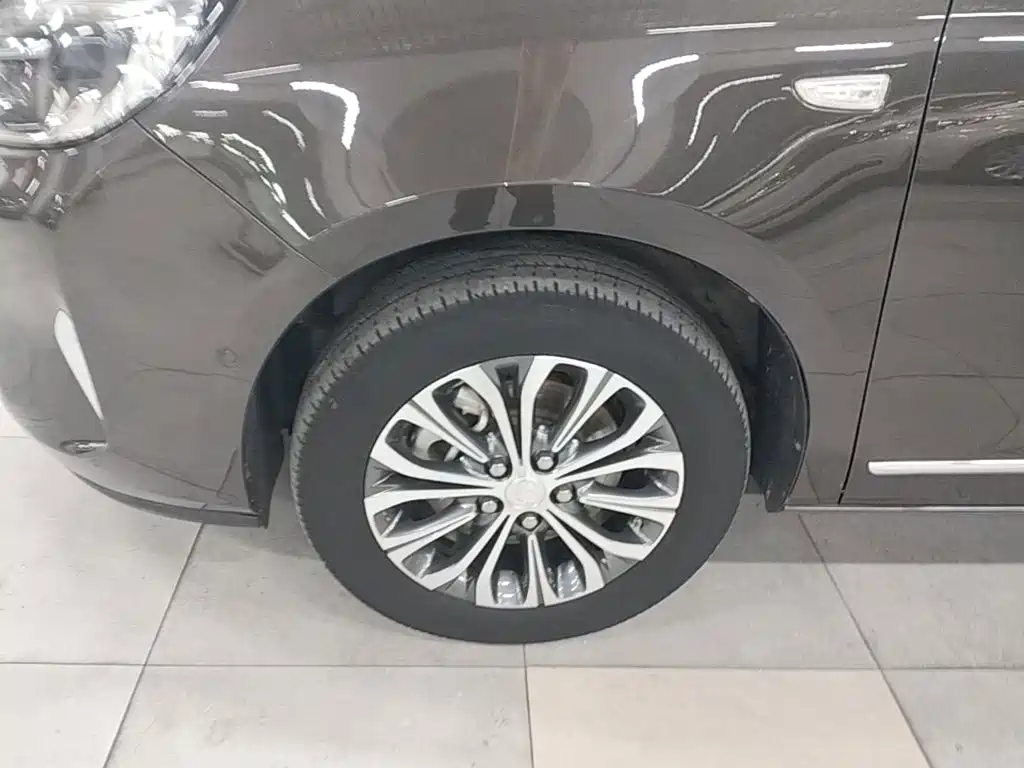 Buick GL8 — миниатюра 23