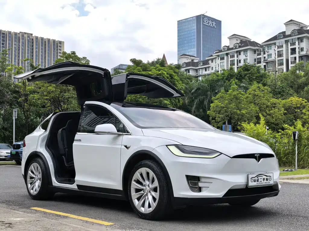 Tesla Model X — миниатюра 3