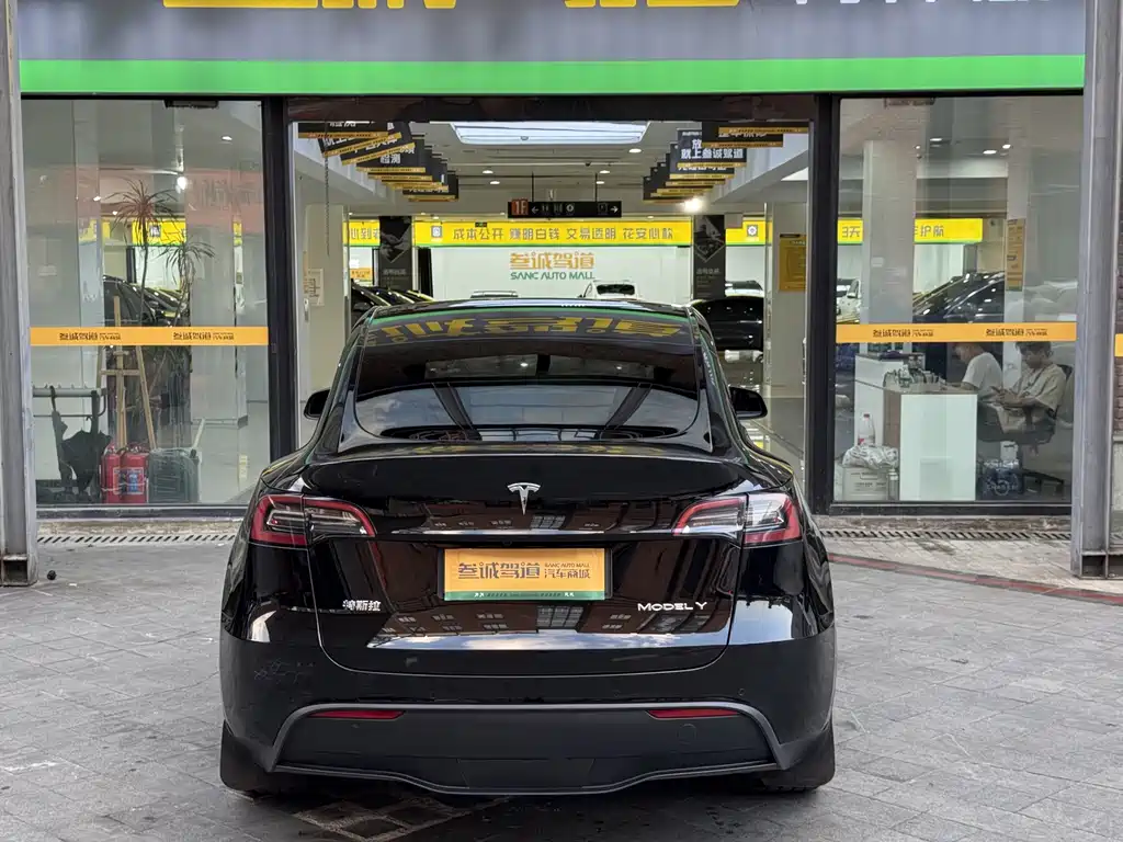 Tesla Model Y — миниатюра 5