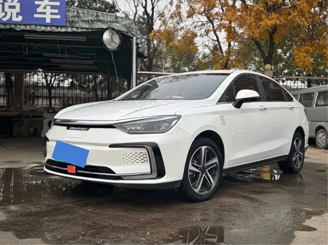 2020 BAIC EU5