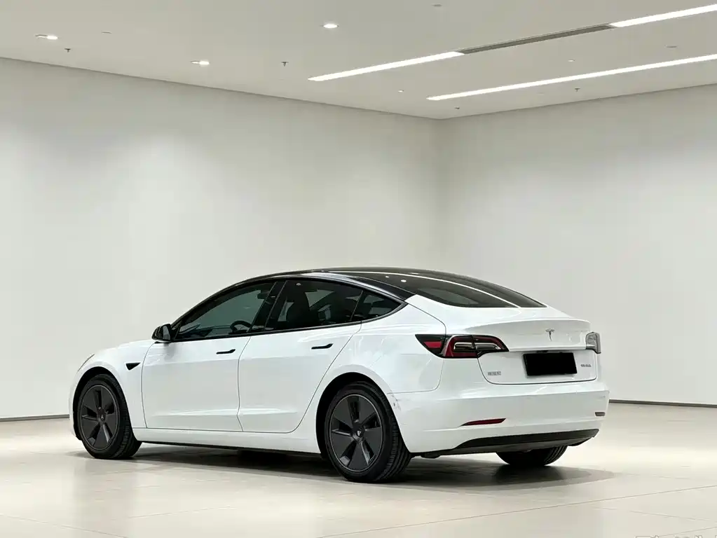 Tesla Model 3 — миниатюра 8