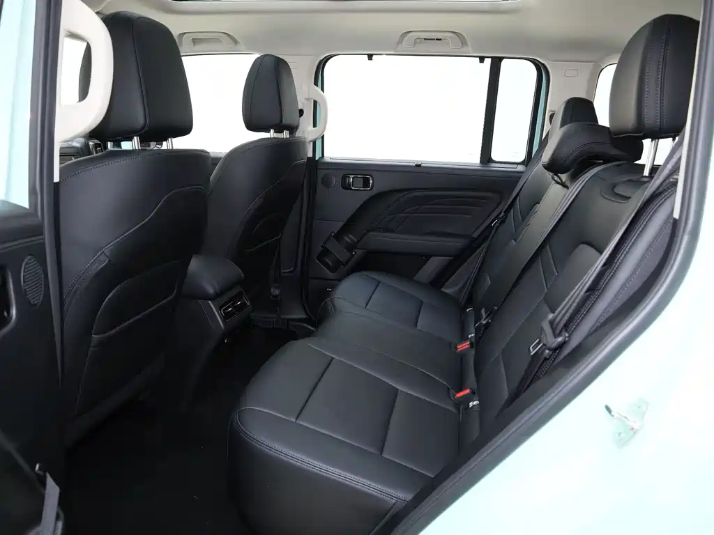 HAVAL RAPTORS NEW ENERGY