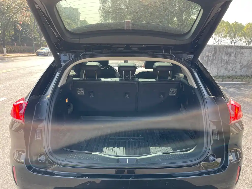 WEI PAI WEI BRAND VV5