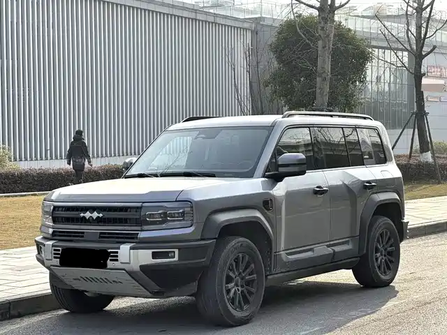 fang-cheng-bao leopard-5