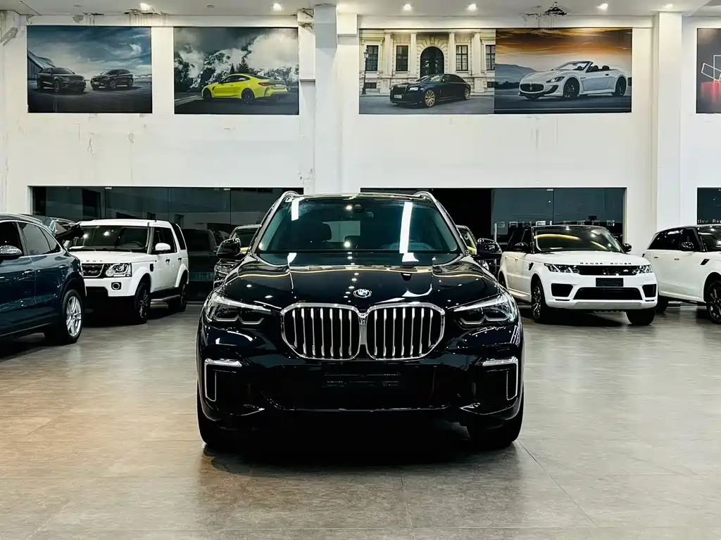 BMW X5 — миниатюра 9