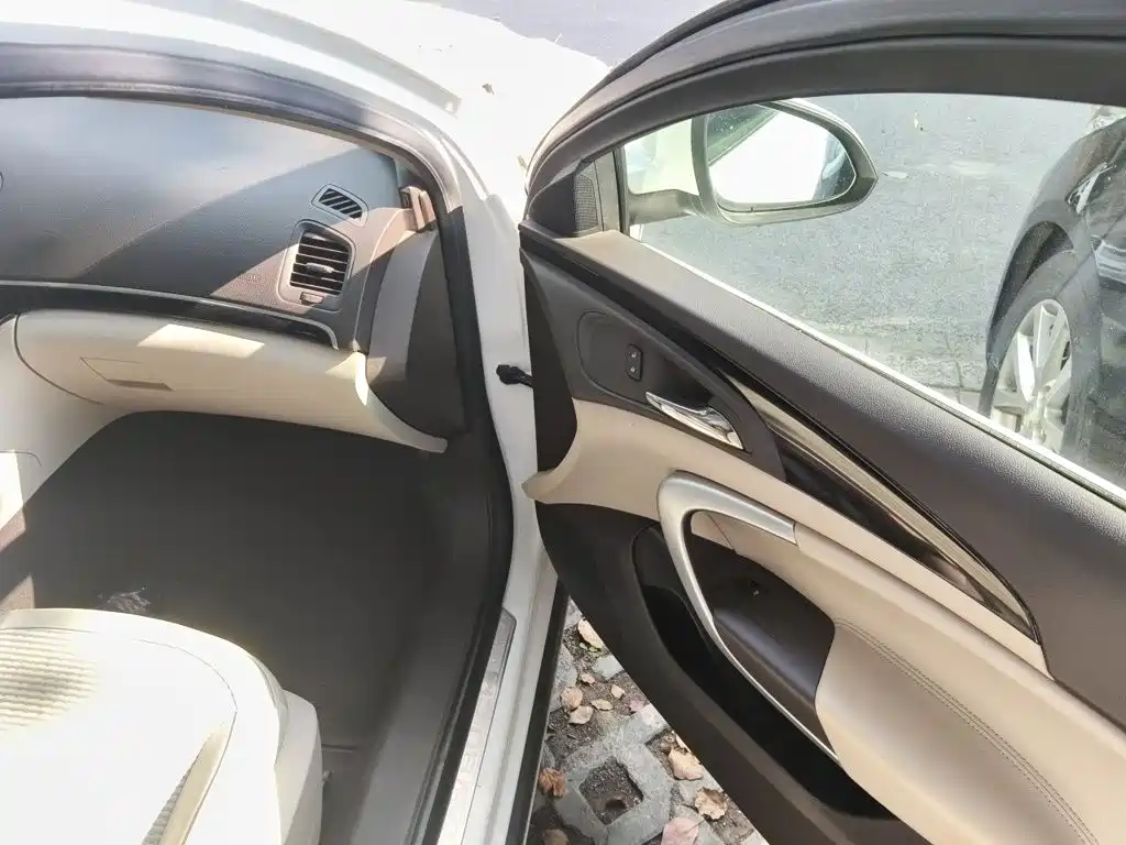 Buick Regal — миниатюра 18