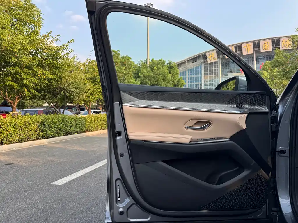 BYD Pro New Energy — миниатюра 10