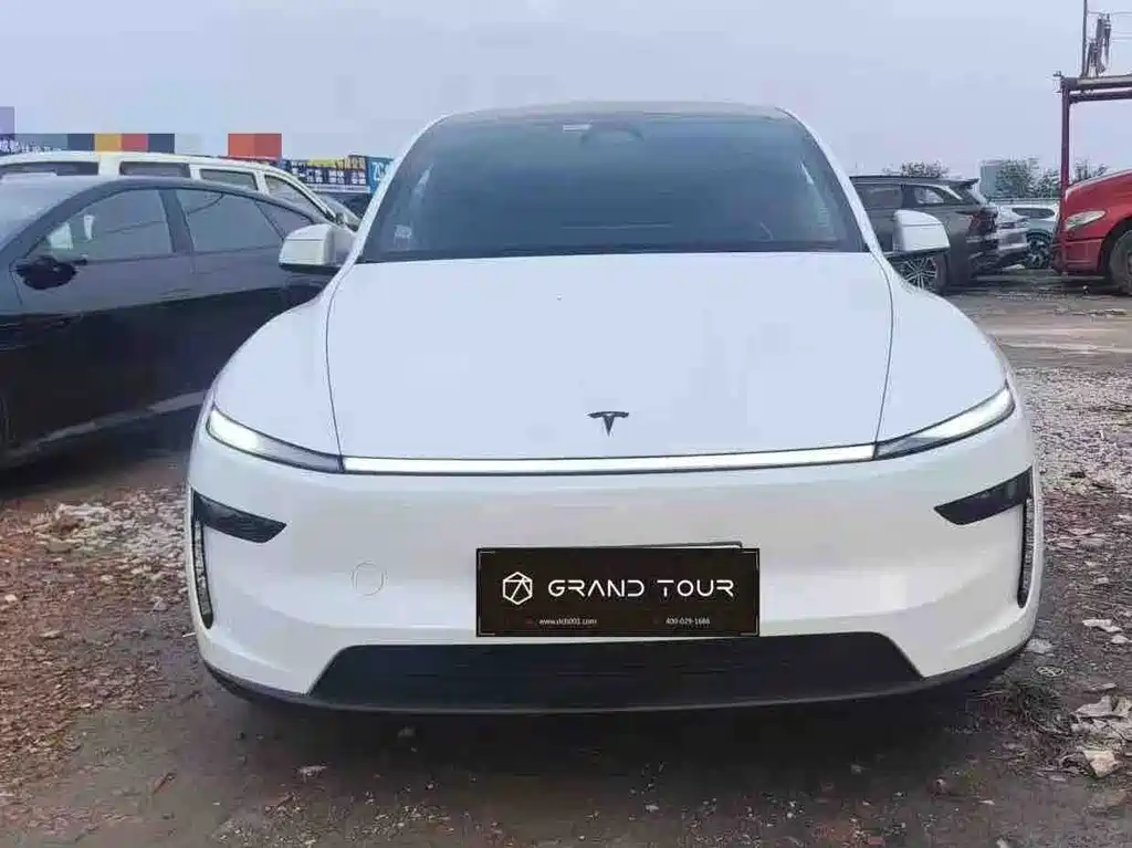 Tesla Model Y L — миниатюра 2