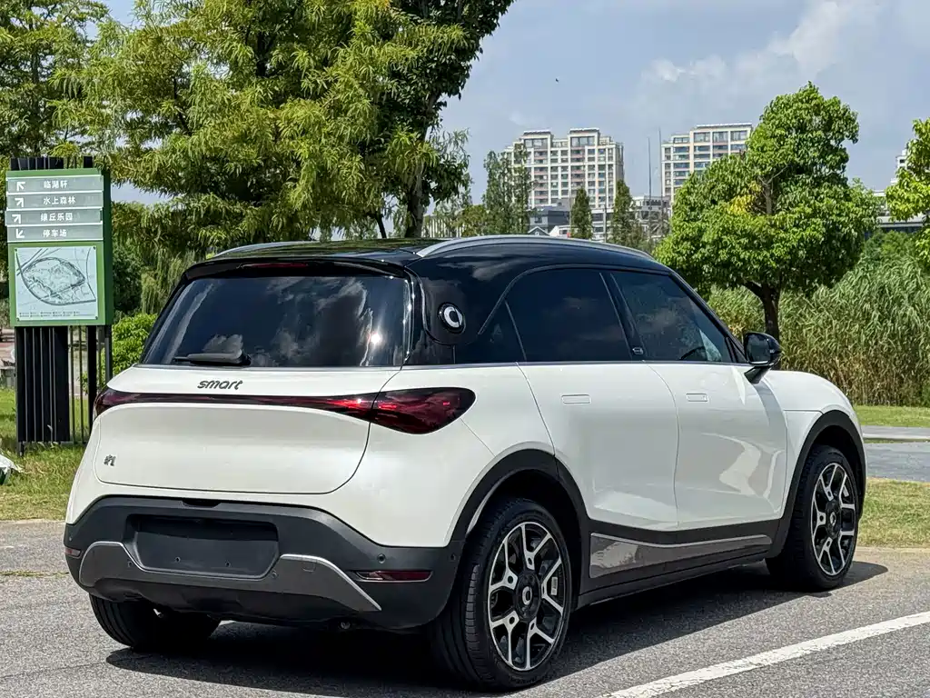 smart Smart #1 — миниатюра 8