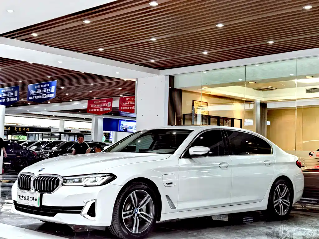 BMW 5 Series New Energy 2022