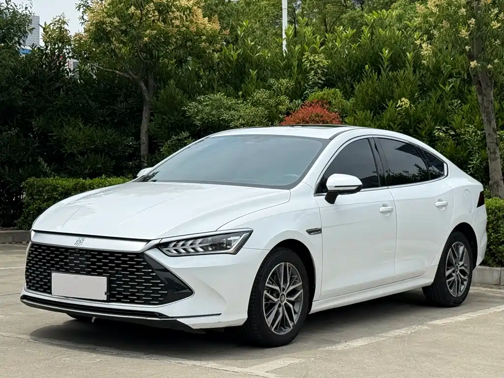 BYD Qin Plus 2023 Champion Edition DM-i 55KM Super Plus Type