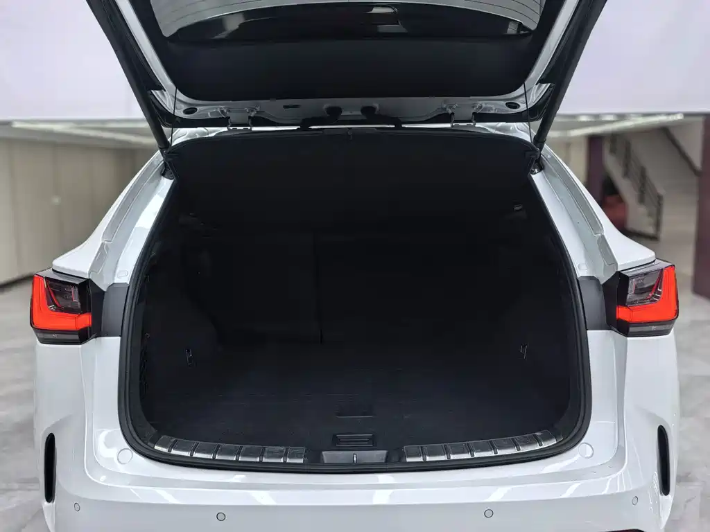 Lexus NX — миниатюра 31