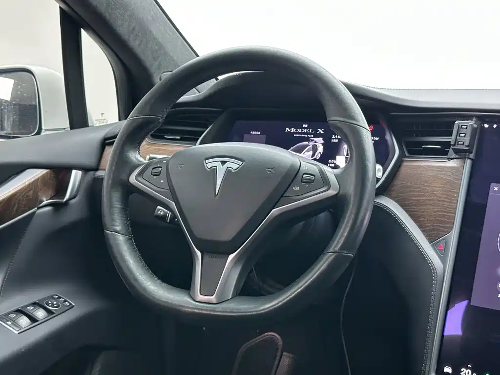 Tesla Model X — миниатюра 19