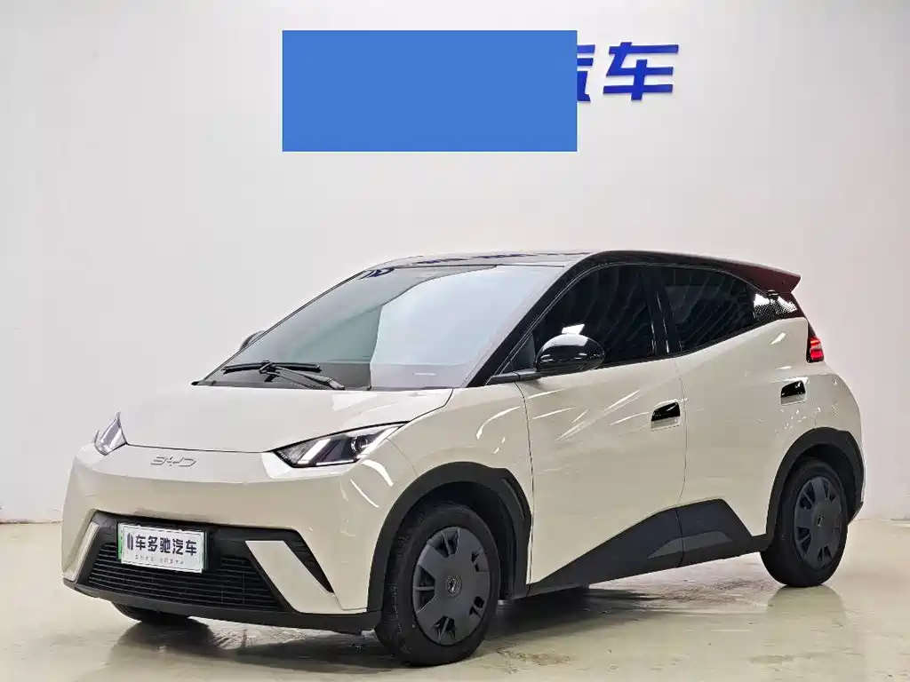 BYD Seagull 2024 Glory Edition 305km Vitality Edition