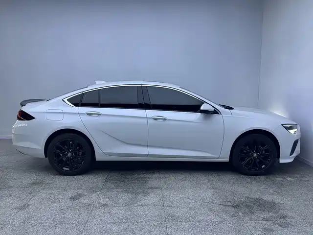 Buick Regal — миниатюра 11