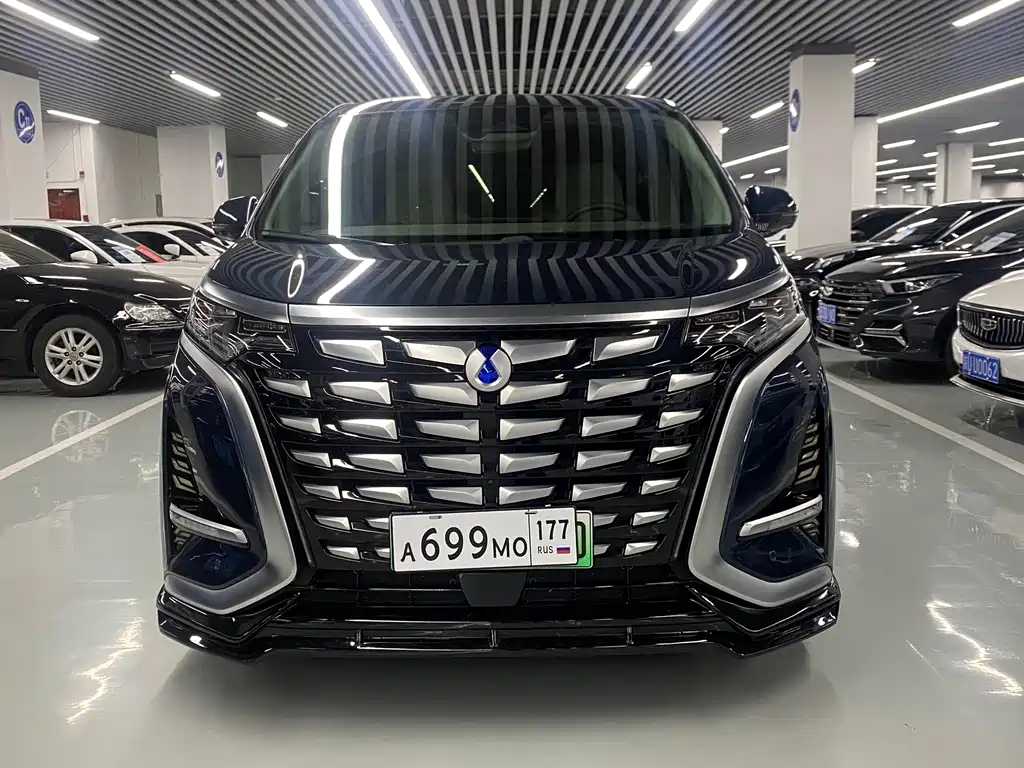 Denza Denza D9 — миниатюра 2