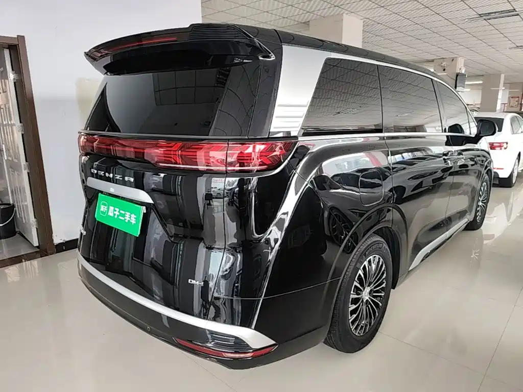 Denza Denza D9 — миниатюра 7