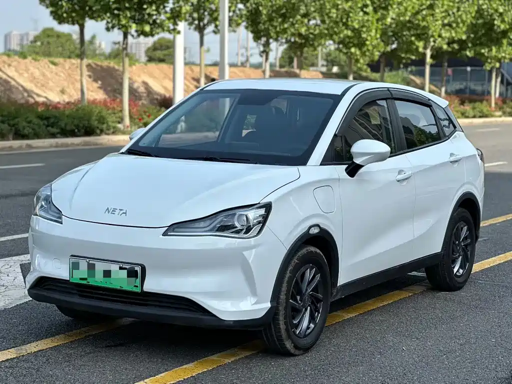 Neta V 2021 Standard Range Edition