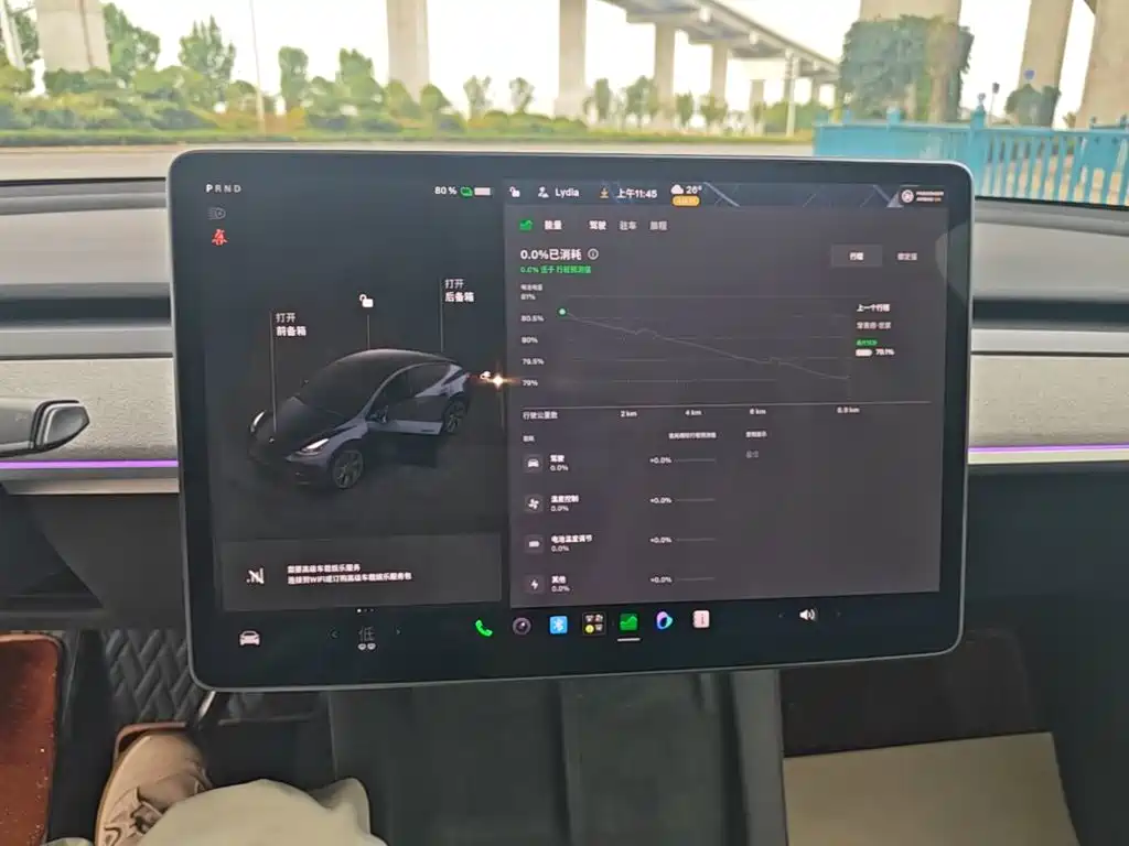 Tesla Model Y — миниатюра 13