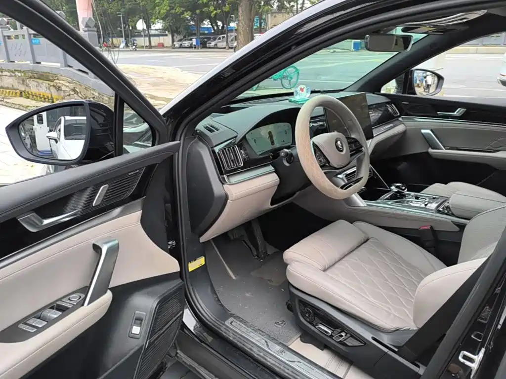 BYD Tang New Energy — миниатюра 16