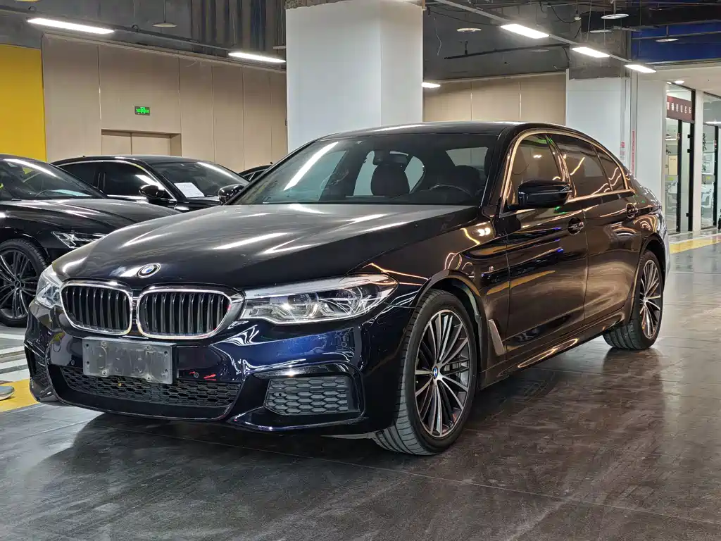 BMW 5 Series 2019