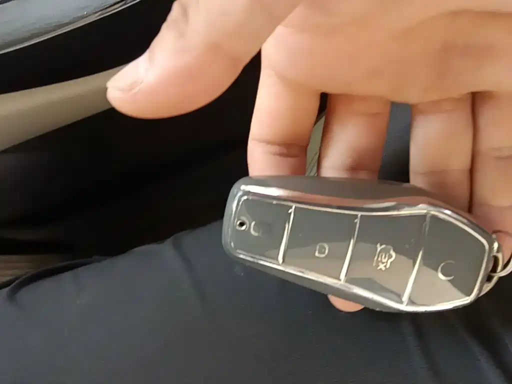 BYD Qin Plus PLUS 2023 Champion DM-i 55KM Lead