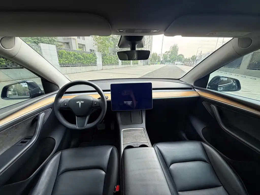 Tesla Model Y — миниатюра 6