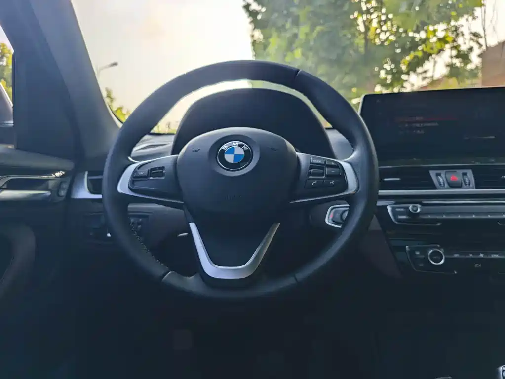 BMW X1 2020 sDrive25Li Lead