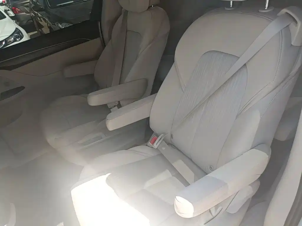 Buick GL8 — миниатюра 17