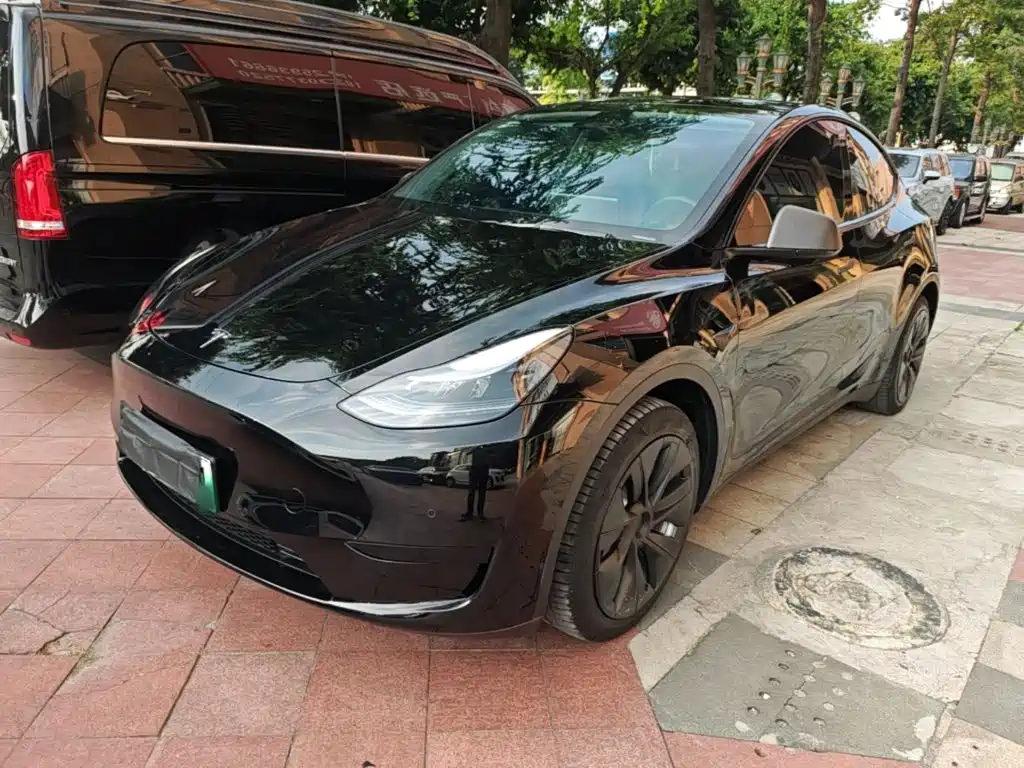 Tesla Model Y — миниатюра 2