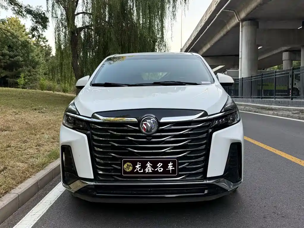 Buick GL8 — миниатюра 2