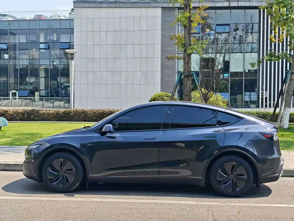 Tesla Model Y — миниатюра 9