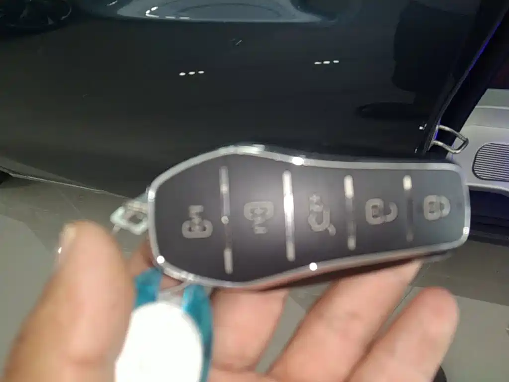 BYD Xia 2025 DM-i 1.5T 180km