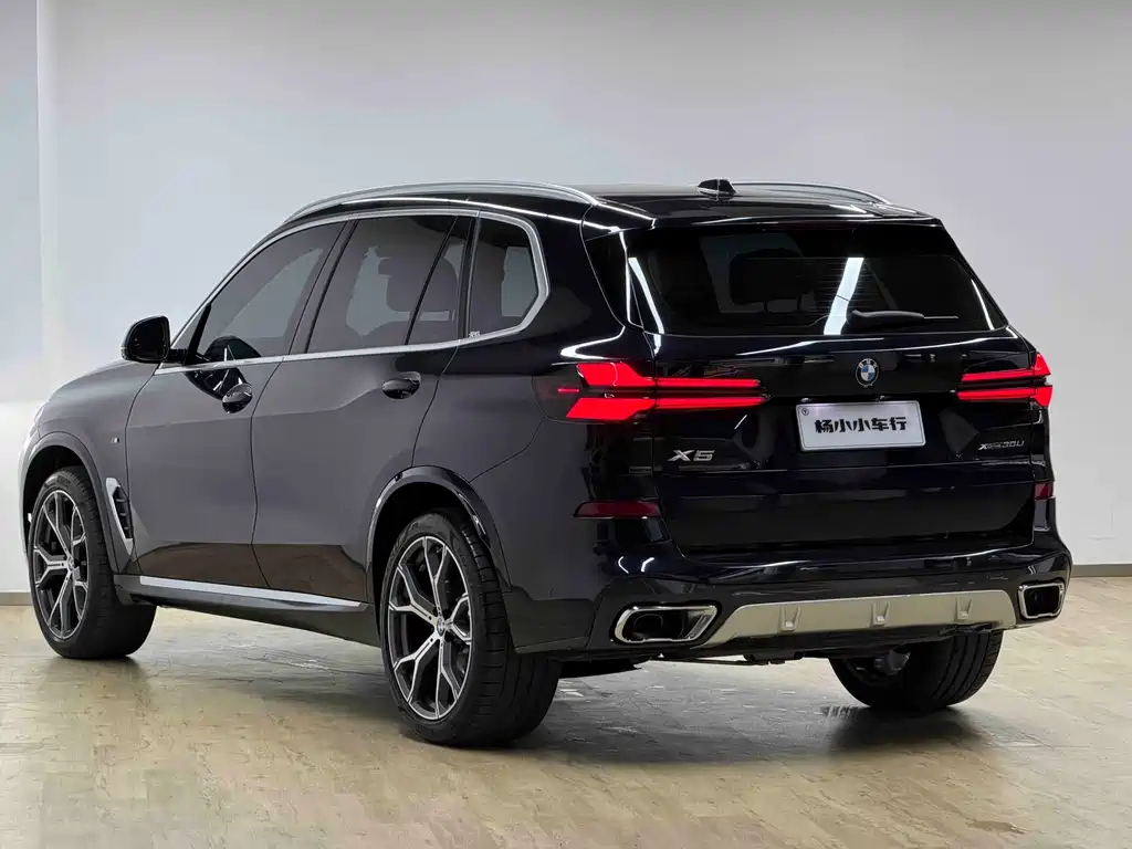 BMW X5 — миниатюра 29