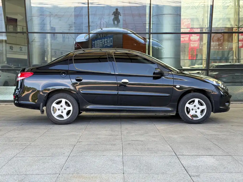 Peugeot 207 — миниатюра 4