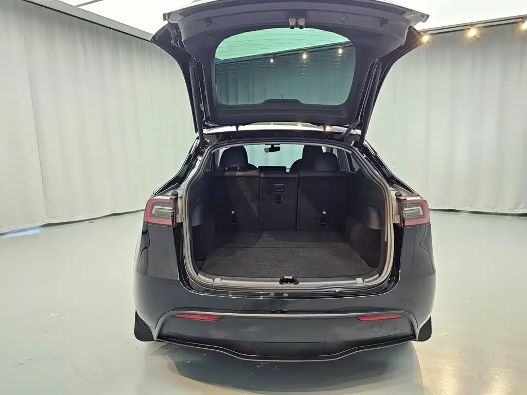 Tesla Model Y — миниатюра 11