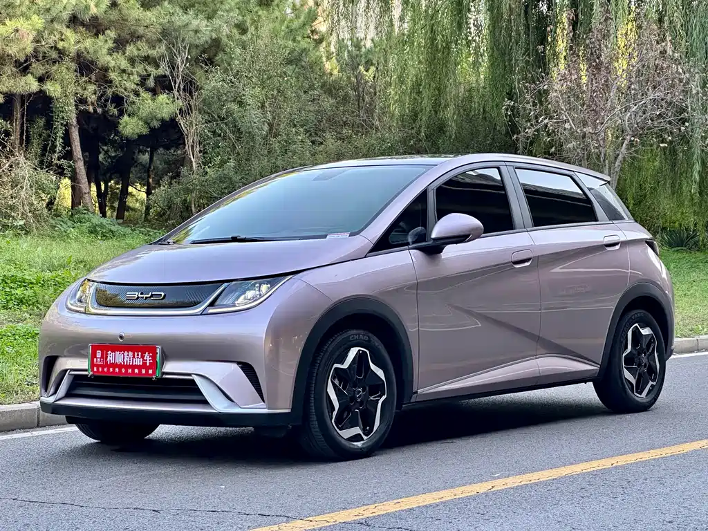 BYD Dolphin