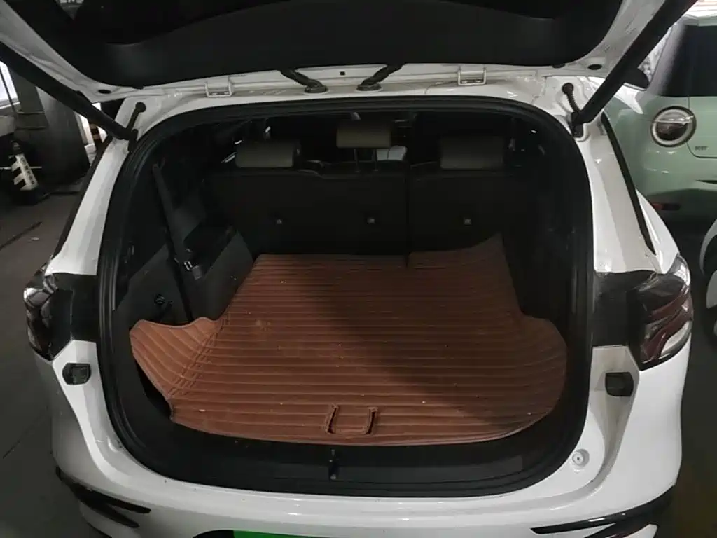 BYD Tang New Energy — миниатюра 19