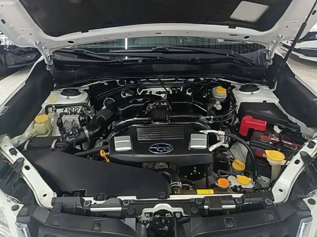 Subaru Forester — миниатюра 20