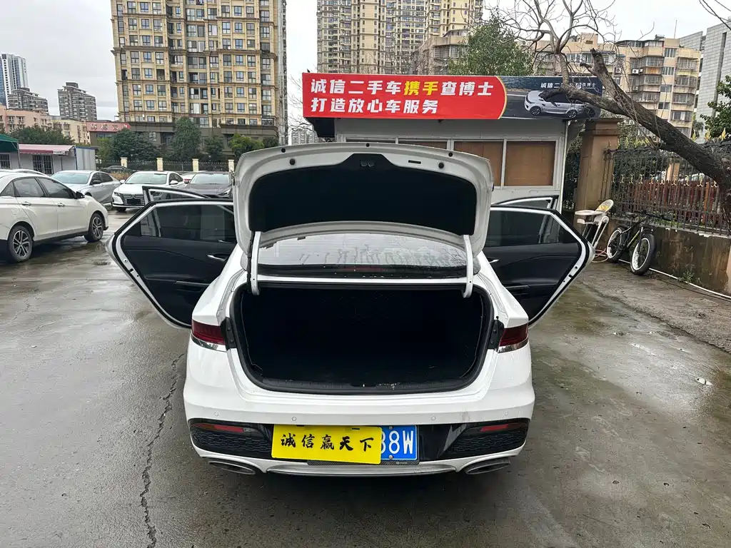 Hyundai Fista — миниатюра 11
