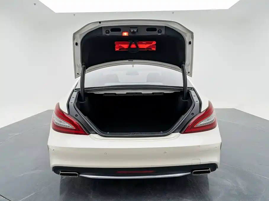 Mercedes-Benz CLS — миниатюра 21