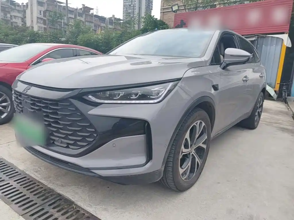 BYD Tang New Energy 2025 Smart Drive Edition DM-i 115KM Flagship Type