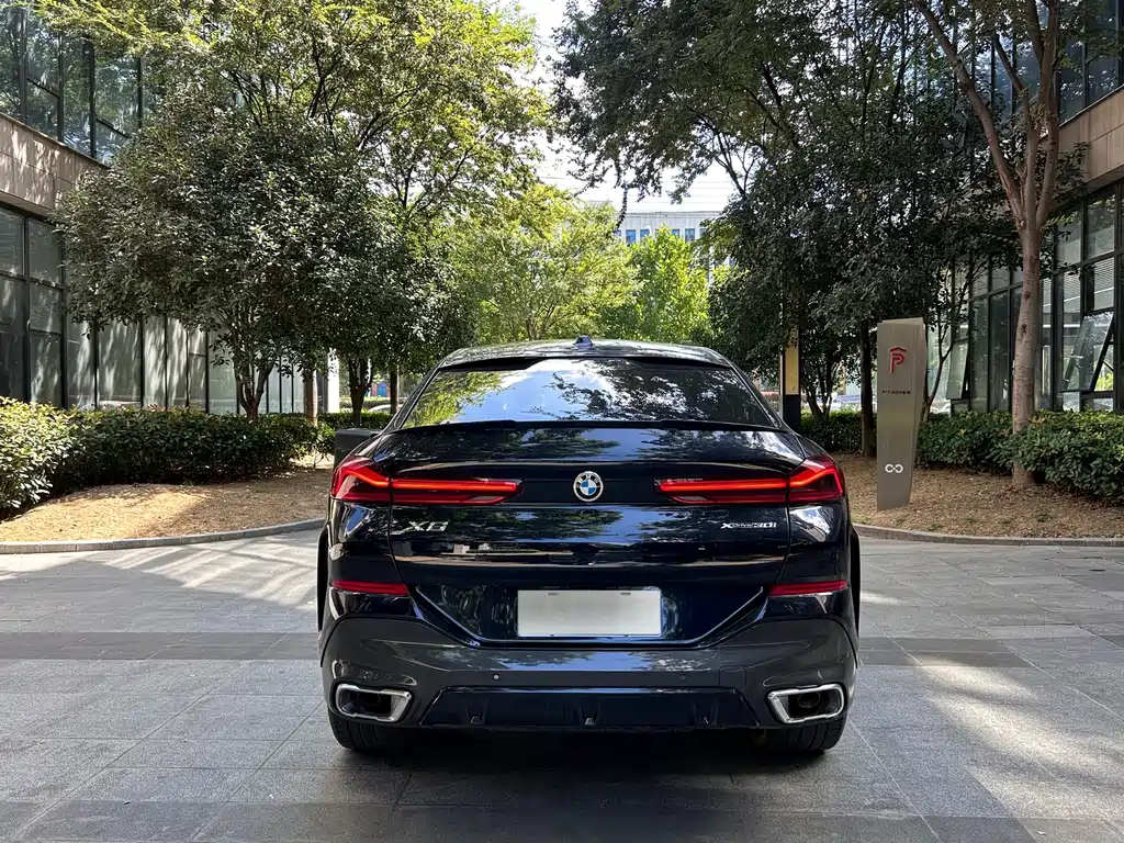 BMW X6 — миниатюра 12