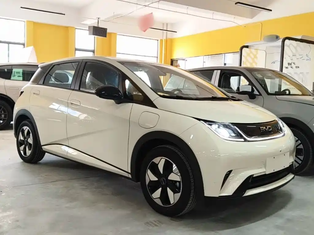 BYD Dolphin — миниатюра 4