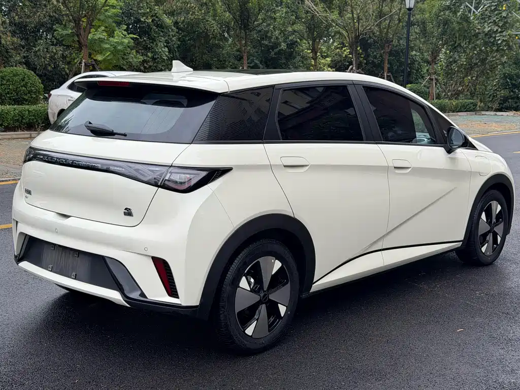 BYD Dolphin — миниатюра 9