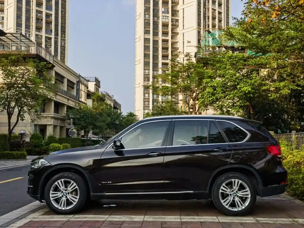 BMW X5 (Import) — миниатюра 10