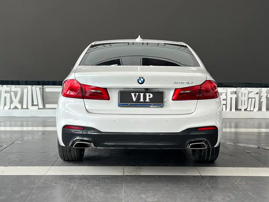 BMW 5 Series — миниатюра 5