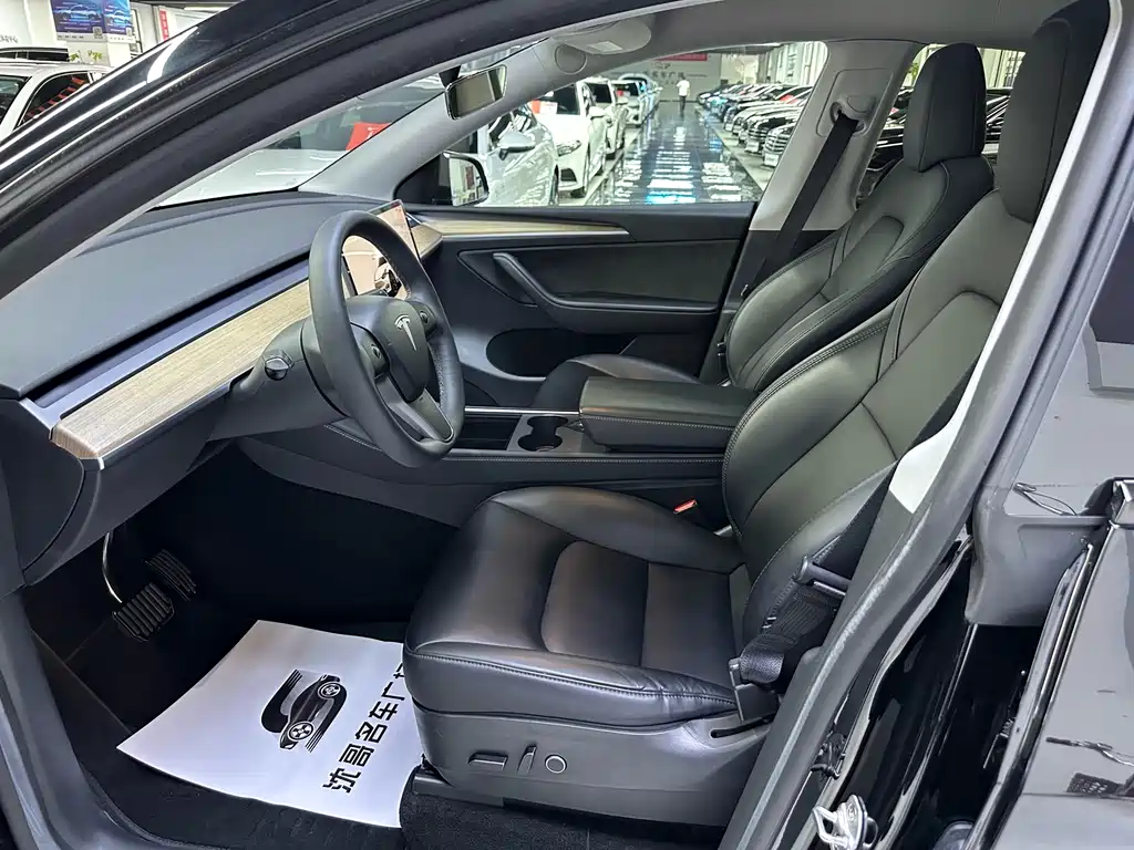 Tesla Model Y — миниатюра 4