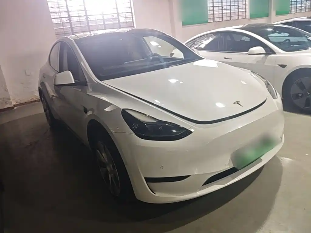 Tesla Model Y — миниатюра 4